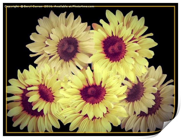Radiant Summer Sunflowers Print by Beryl Curran