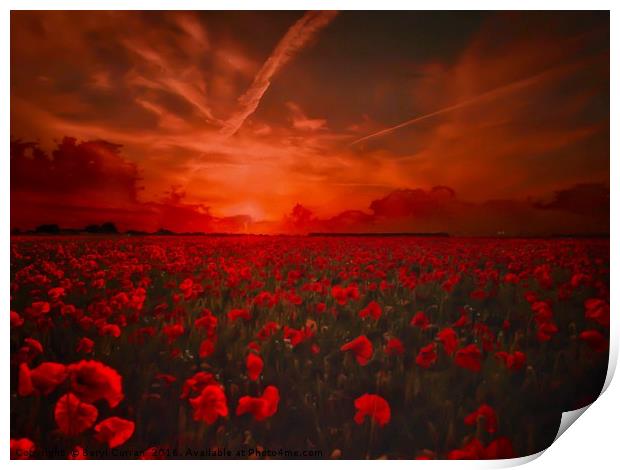 Lest We Forget Poppy Field Print by Beryl Curran