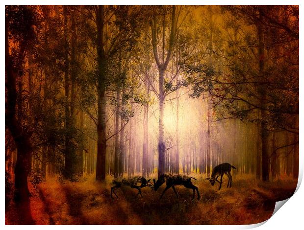 Enchanted Nighttime Rutting Deers Print by Beryl Curran