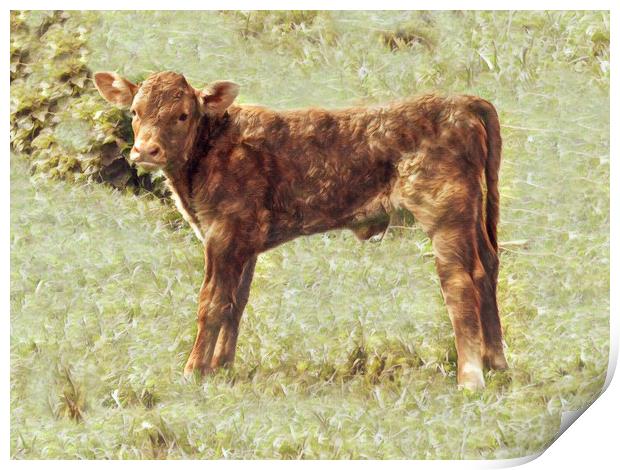 Joyful Newborn Calf Print by Beryl Curran