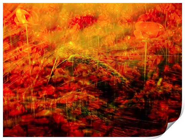 Fields of Fire Print by Beryl Curran