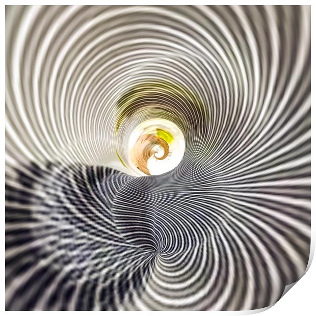 Mesmerizing Monochrome Spin Print by Beryl Curran