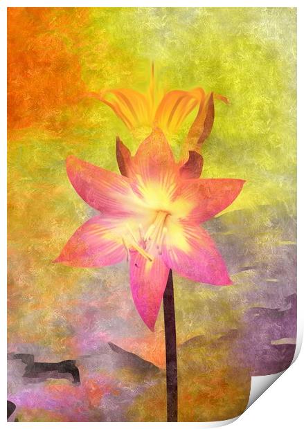 Vivid  Lily Print by Beryl Curran