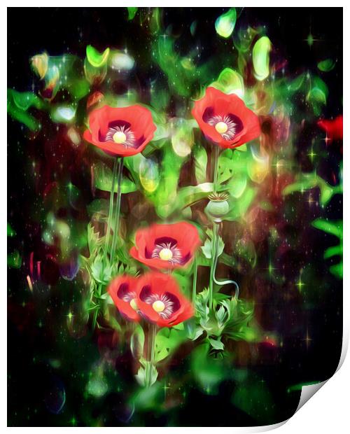 Fiery Scarlet Beauty Print by Beryl Curran