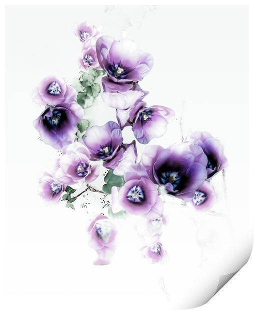 Purple Delight  Print by Beryl Curran