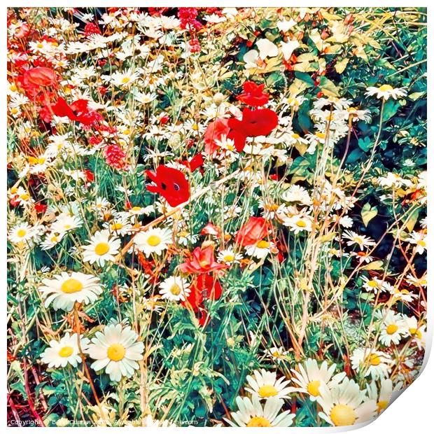 Untamed Beauty A Wildflower Meadow Print by Beryl Curran