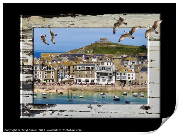 Majestic Seagulls Soaring over St Ives Print by Beryl Curran
