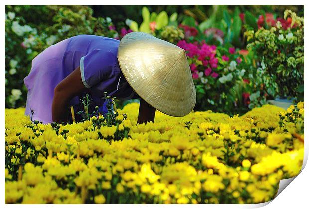 Vietnamese gardener Print by Adam Szuly