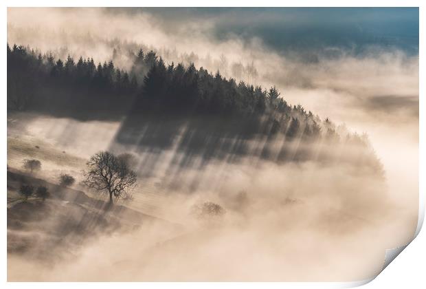 Woodland in the mist near Chatsworth Print by John Finney