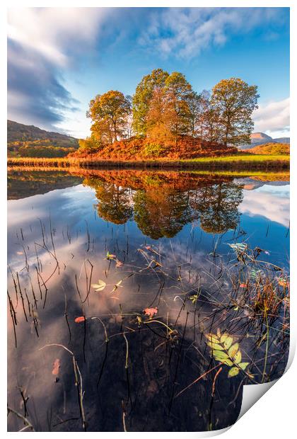 River Brathay Reflections  Print by John Finney