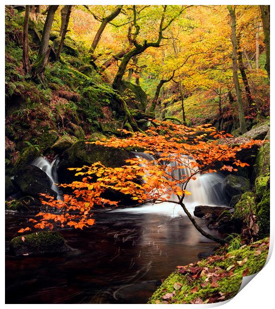 Autumn waterfalls Print by John Finney
