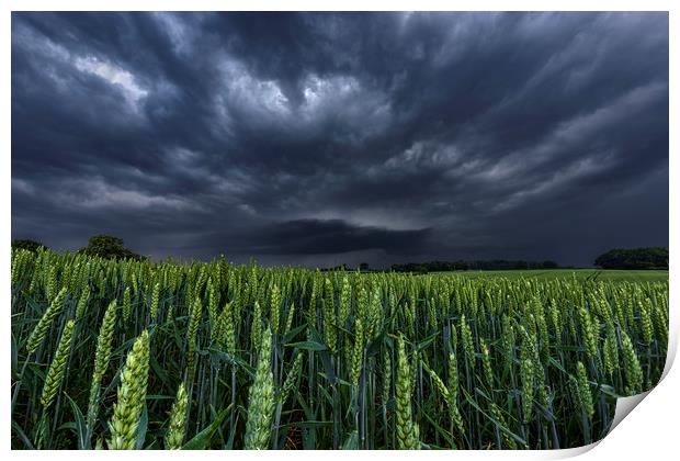 North Yorkshire Supercell over Wheat Crops Print by John Finney