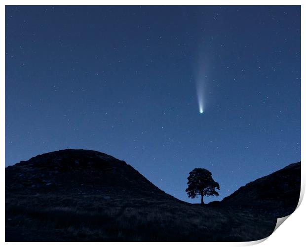 Comet Neowise Over Sycamore Gap  Print by John Finney