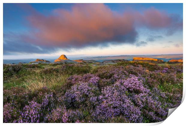Purple Heather Sunrise, Derbyshire  Print by John Finney