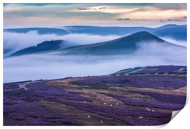 Wild Heather on Win Hill, with Lose Hill.  Print by John Finney