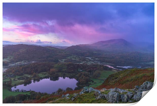 Loughrigg and Elterwater pink sunrise Print by John Finney