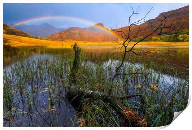 Autumn light in the Lake District Print by John Finney