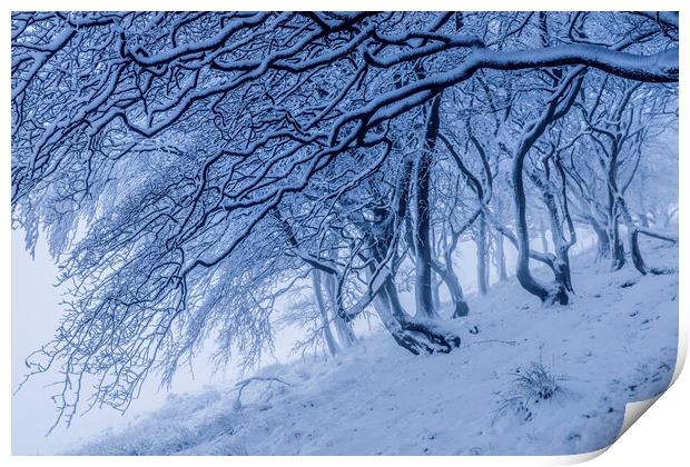 Rushup Edge Trees in Winter Print by John Finney
