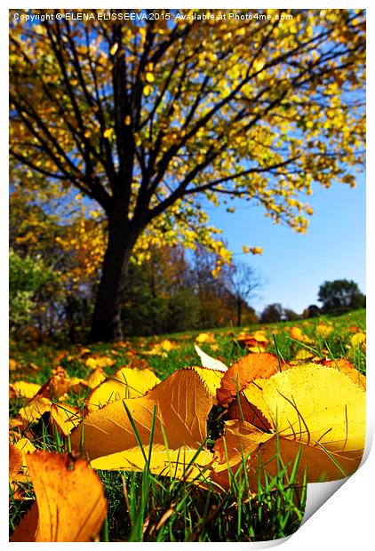 Autumn landscape Print by ELENA ELISSEEVA