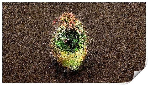  Flower Basket on Beach Print by William Moore