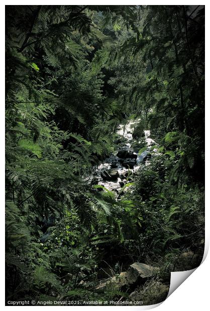 Summer Daydreaming in Lousa Forest Print by Angelo DeVal