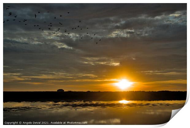 Birds Fly at Sunset in Faro Print by Angelo DeVal