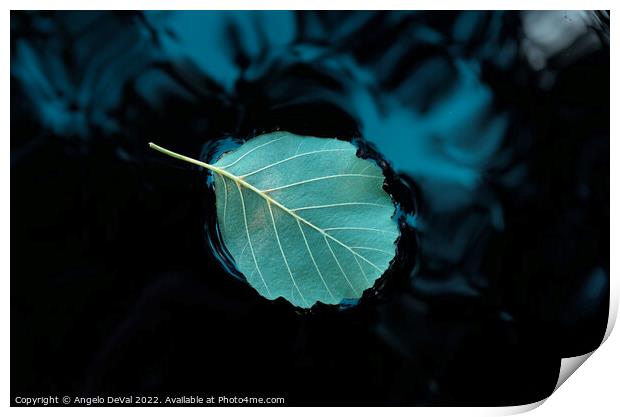 Relaxing Leaf on Pond Print by Angelo DeVal
