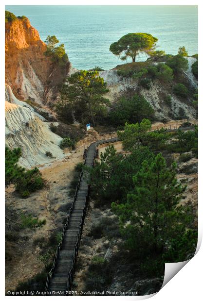Walk to the Beach Around Pines and Cliffs Print by Angelo DeVal