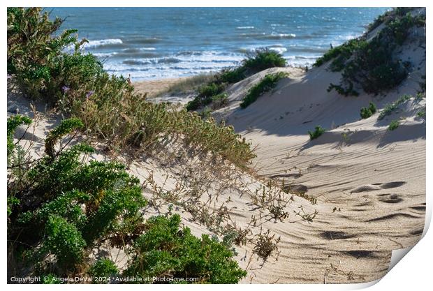 From Dunes to Sea Print by Angelo DeVal
