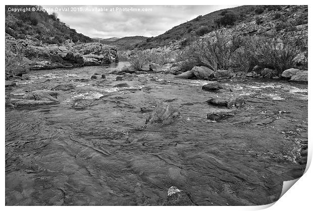 River Flow Print by Angelo DeVal