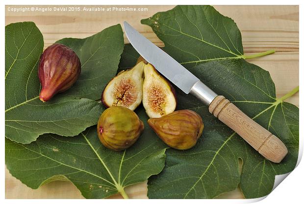 Fresh Figs Print by Angelo DeVal