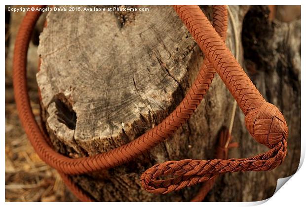 Brown Bullwhip around a tree trunk  Print by Angelo DeVal