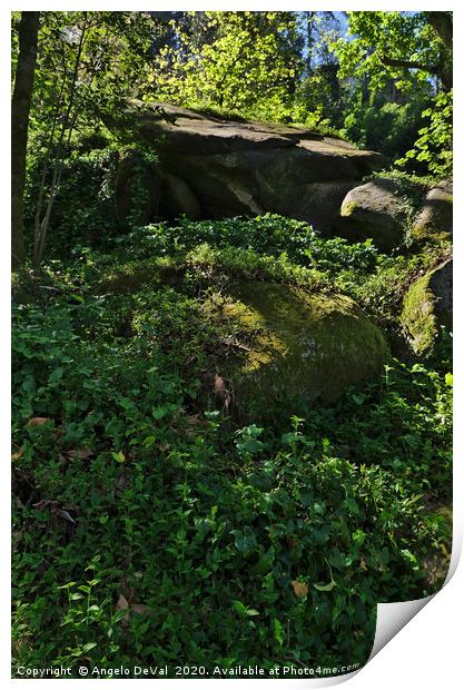 Wild Green in Sintra 2 Print by Angelo DeVal
