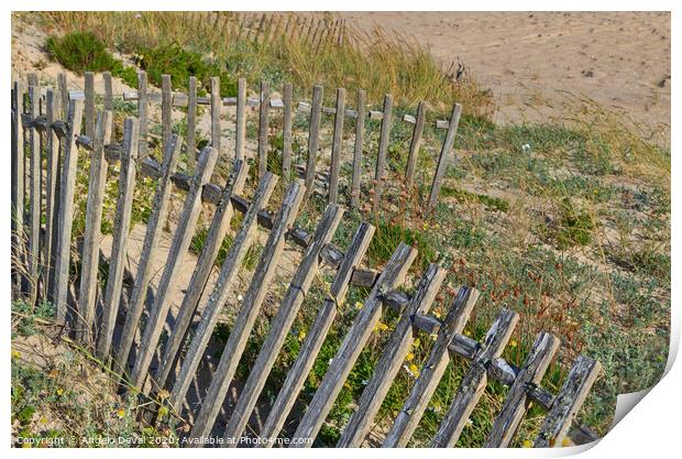 Dunes Fence in Algarve Beach Print by Angelo DeVal