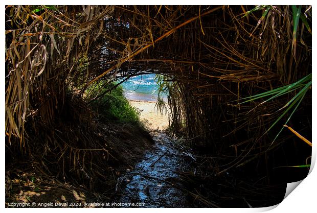 Engardaceira Beach Tunnel Print by Angelo DeVal