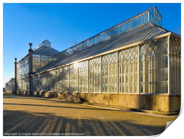 Greenhouse in the Botanical Garden of the University of Coimbra Print by Angelo DeVal