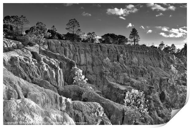 Cliff Wall and Forest in Algarve Print by Angelo DeVal