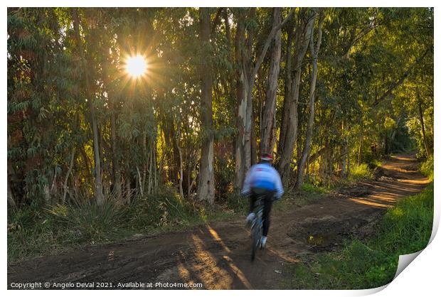 The Thrilling Forest Trail Print by Angelo DeVal