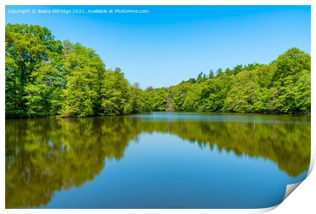 Virginia Water lake Print by Beata Aldridge