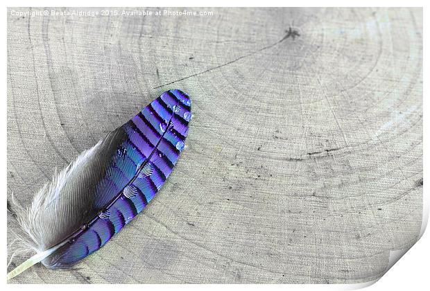  Blue feather Print by Beata Aldridge