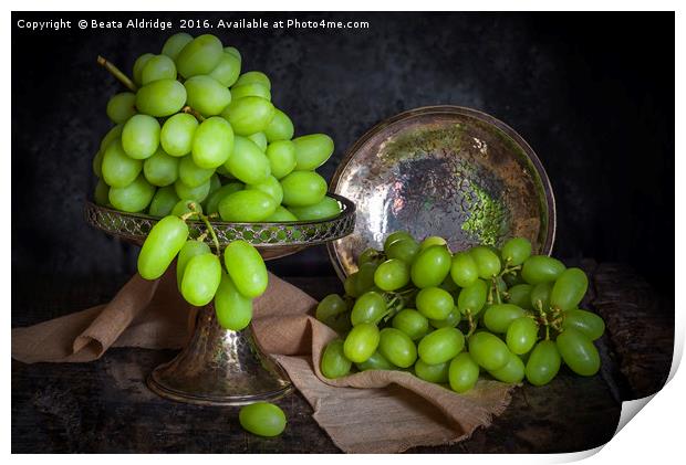 Vintage green grapes Print by Beata Aldridge
