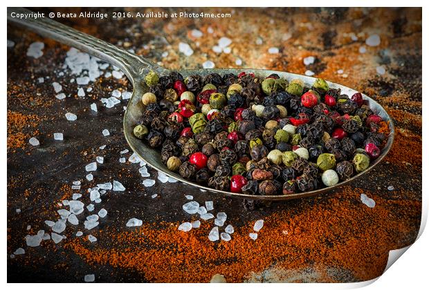 The world of spices Print by Beata Aldridge
