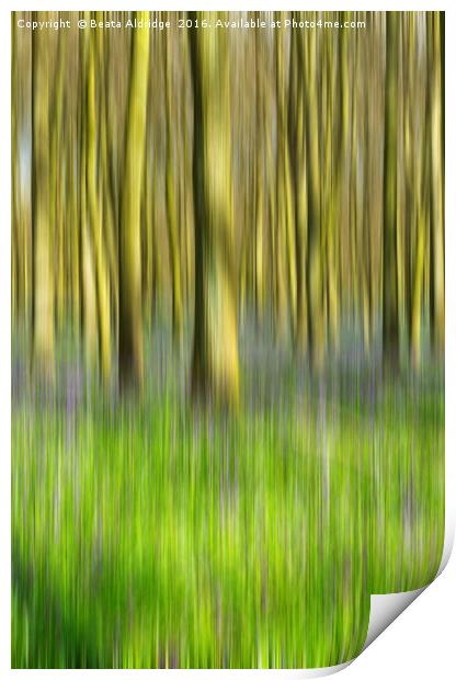 Dreamy forest Print by Beata Aldridge