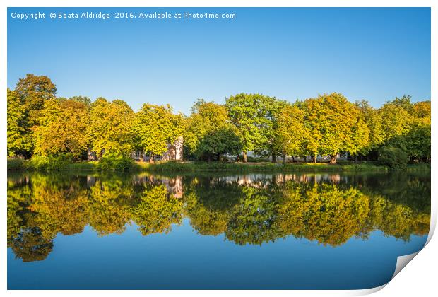 Autumn tree reflections in the lake Print by Beata Aldridge