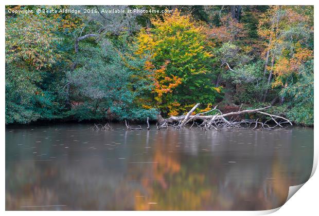 Stillness Print by Beata Aldridge