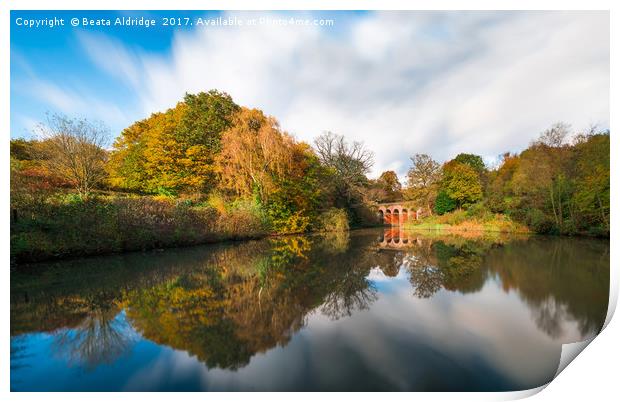 Old viaduct Print by Beata Aldridge