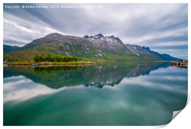 Ersfjord ,Troms County in Norway Print by Beata Aldridge
