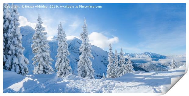 Winter in the Alps. Print by Beata Aldridge