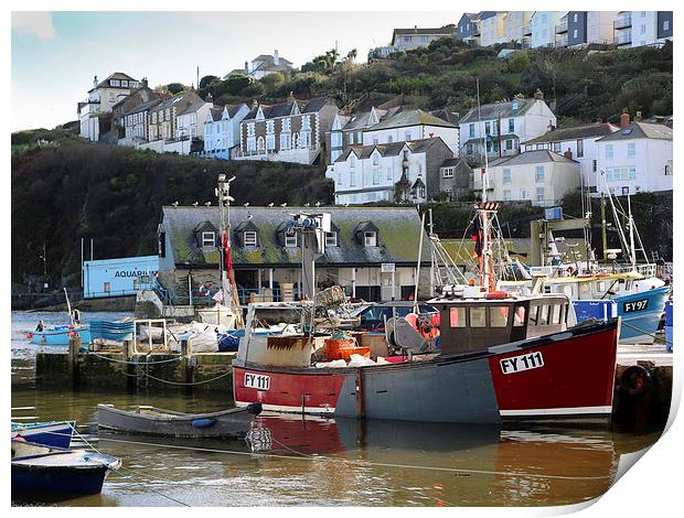  Mevagissey Cornwall Print by Leslie Dwight