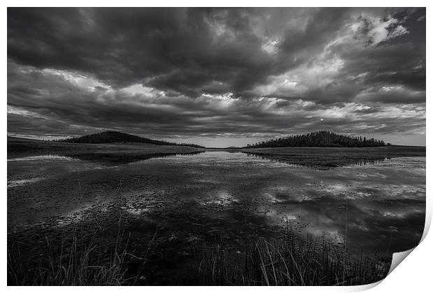  Lake Reflections Print by Chris Pickett